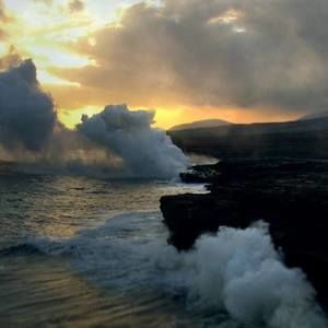 Meet your Posher, Shayne